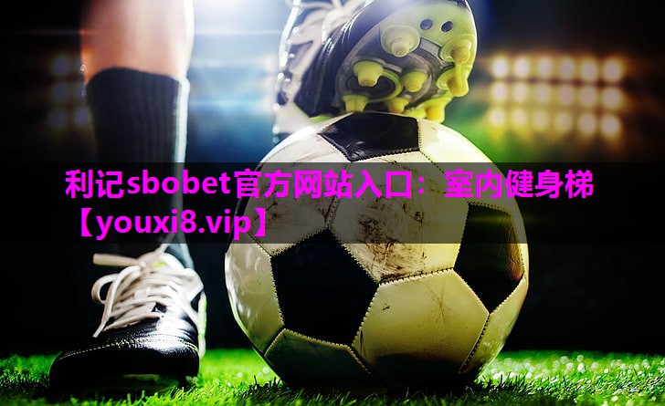 利记sbobet官方网站入口：室内健身梯