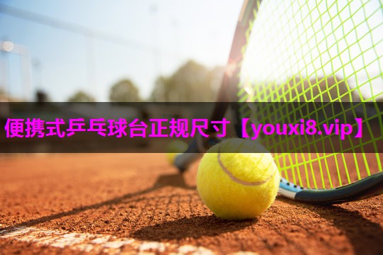 便携式乒乓球台正规尺寸
