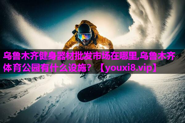 乌鲁木齐健身器材批发市场在哪里,乌鲁木齐体育公园有什么设施？
