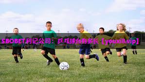 SBOBET利记公司：乒乓球台有多长
