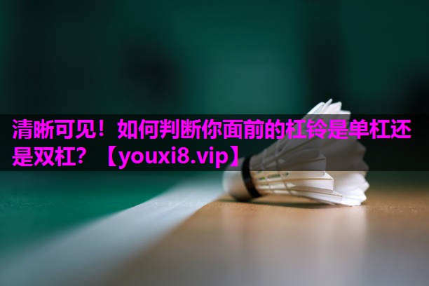 清晰可见！如何判断你面前的杠铃是单杠还是双杠？
