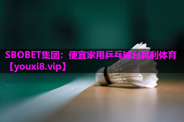 SBOBET集团：便宜家用乒乓球台其利体育