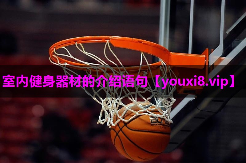 室内健身器材的介绍语句