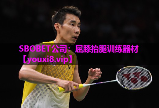 SBOBET公司：屈膝抬腿训练器材