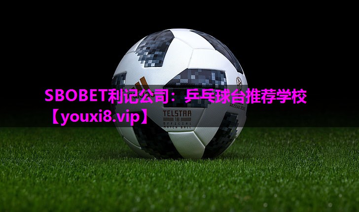 乒乓球台推荐学校