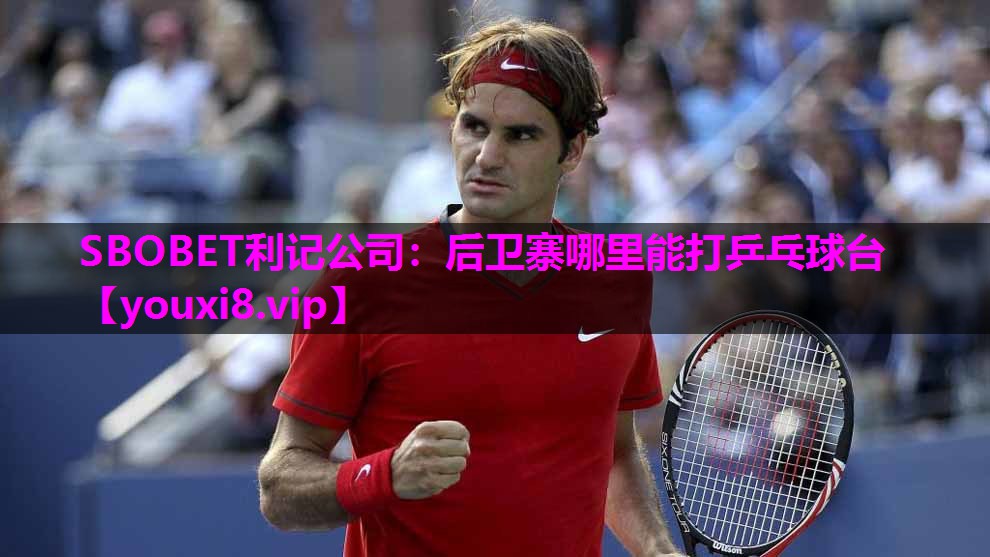 后卫寨哪里能打乒乓球台 后卫寨哪里能打乒乓球台